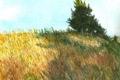 98475589_10223748496322703_6819234406104825856_o