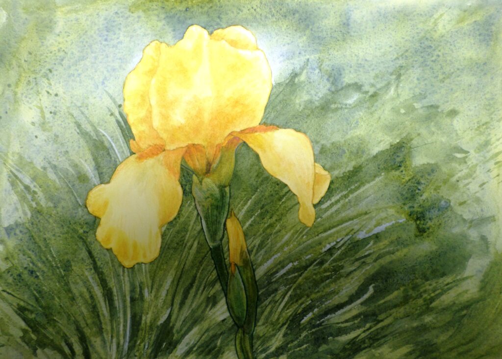 Easter Lilly