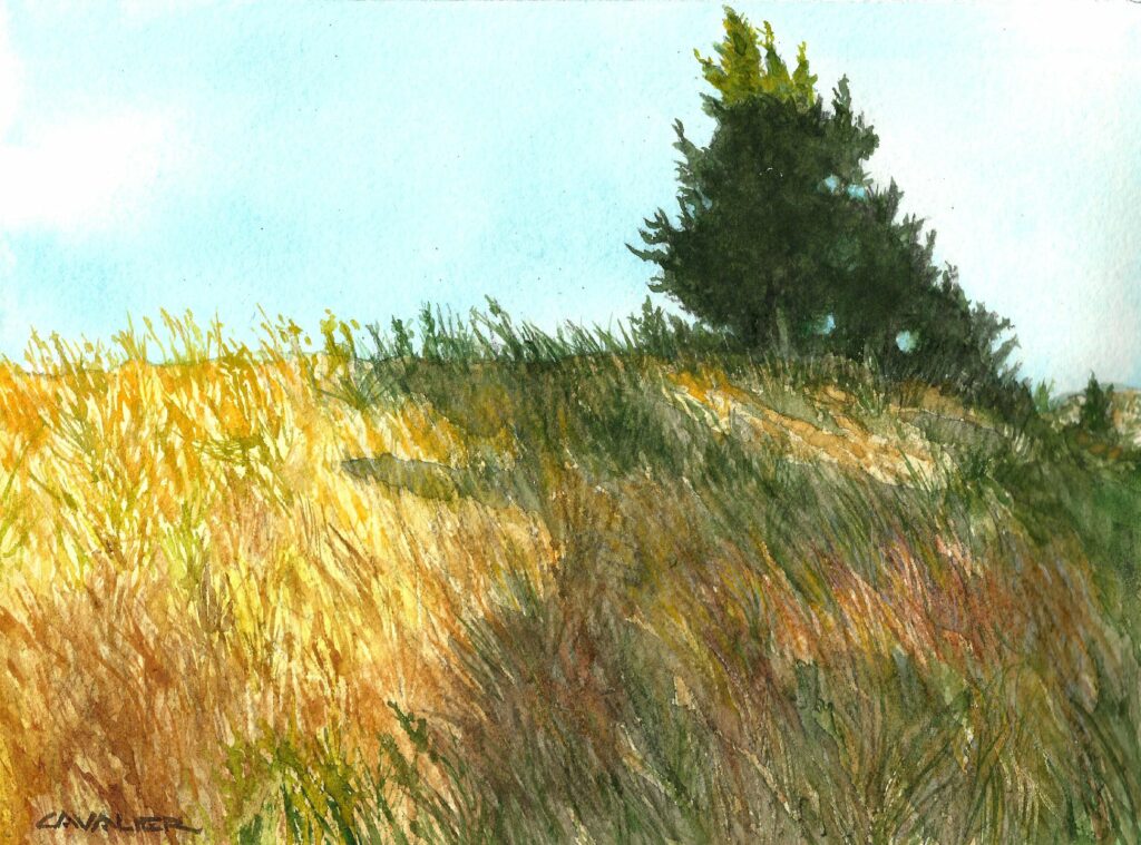 Pandemic Painting #16
