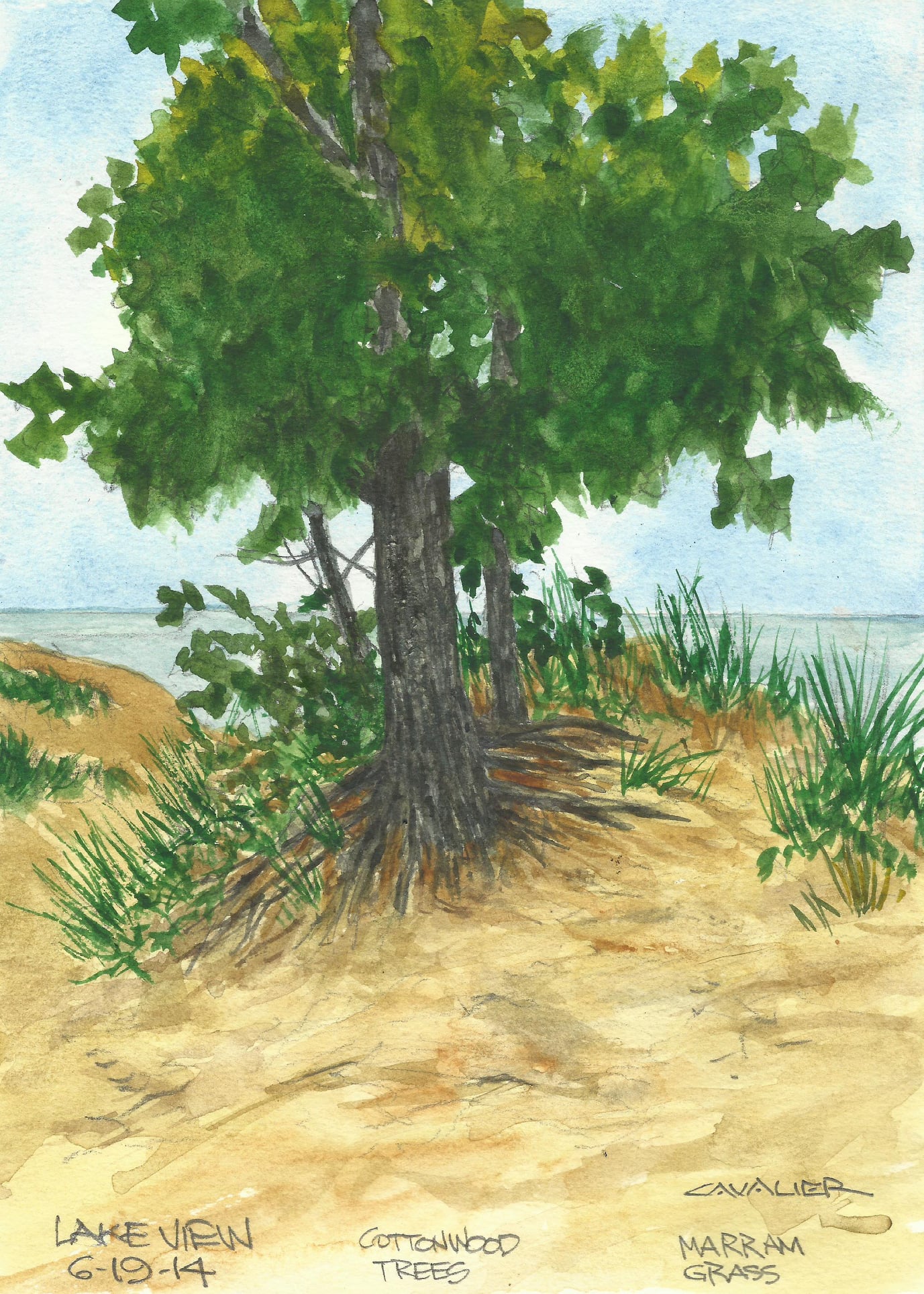 pp35