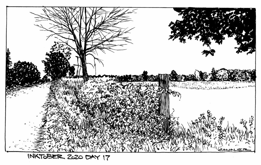 INKTOBER 2020 DAY 17