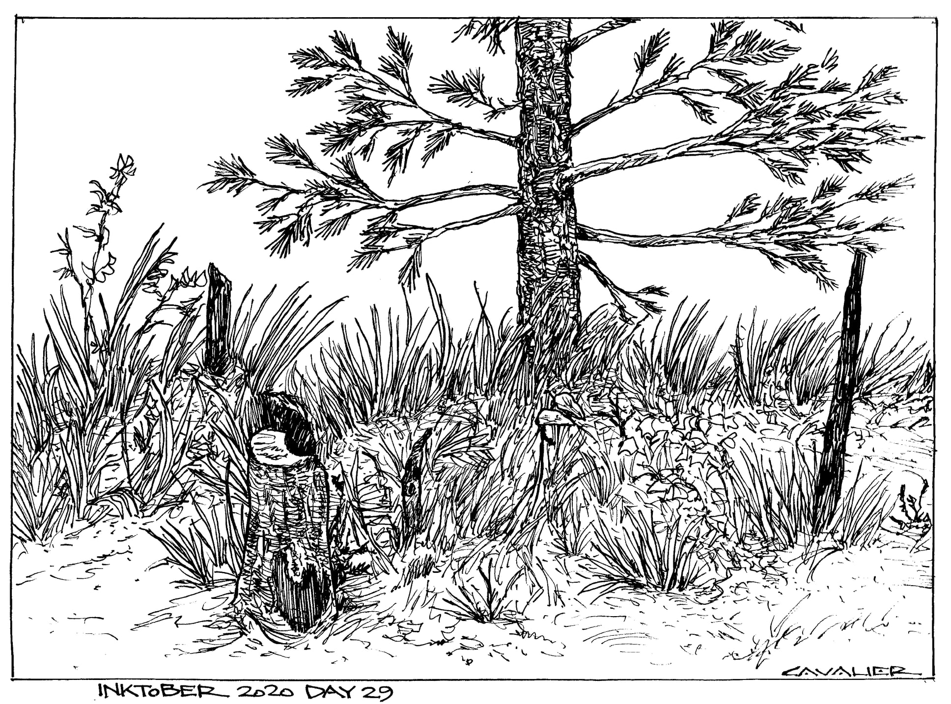 Inktober29