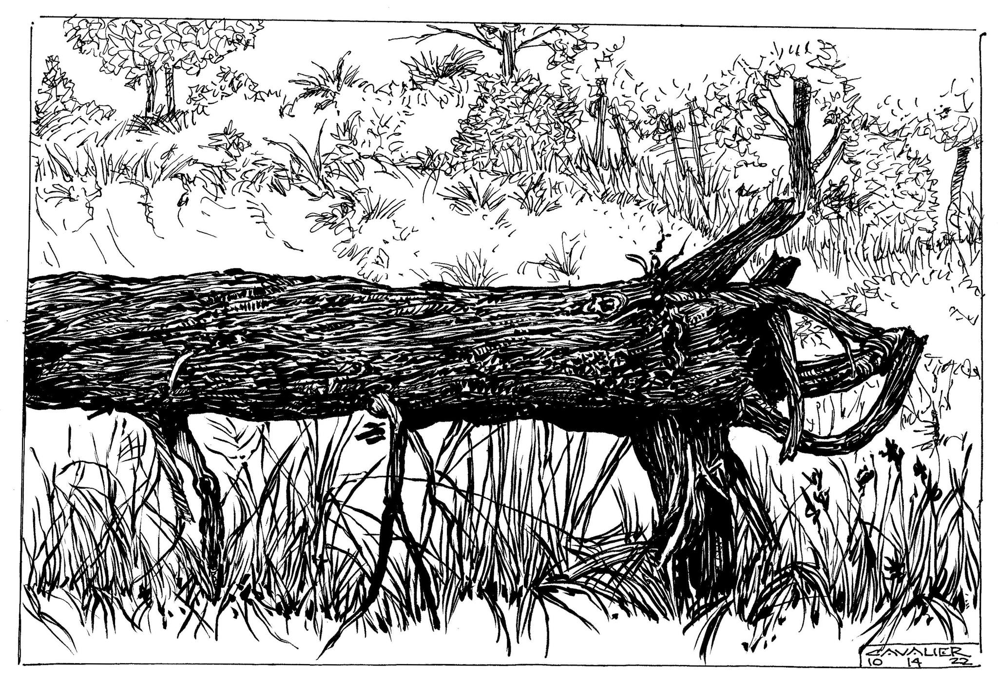 ink14