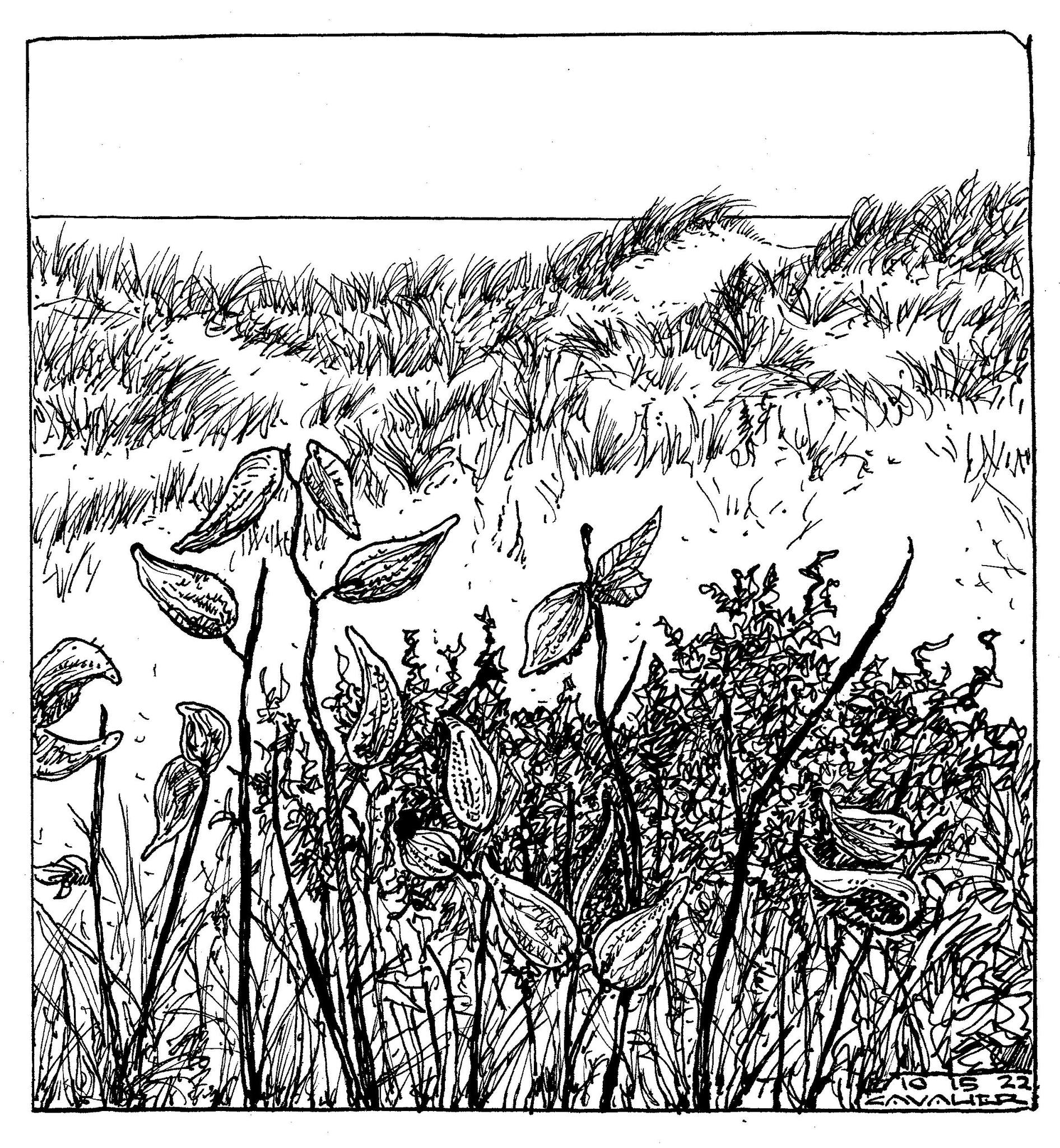 ink15