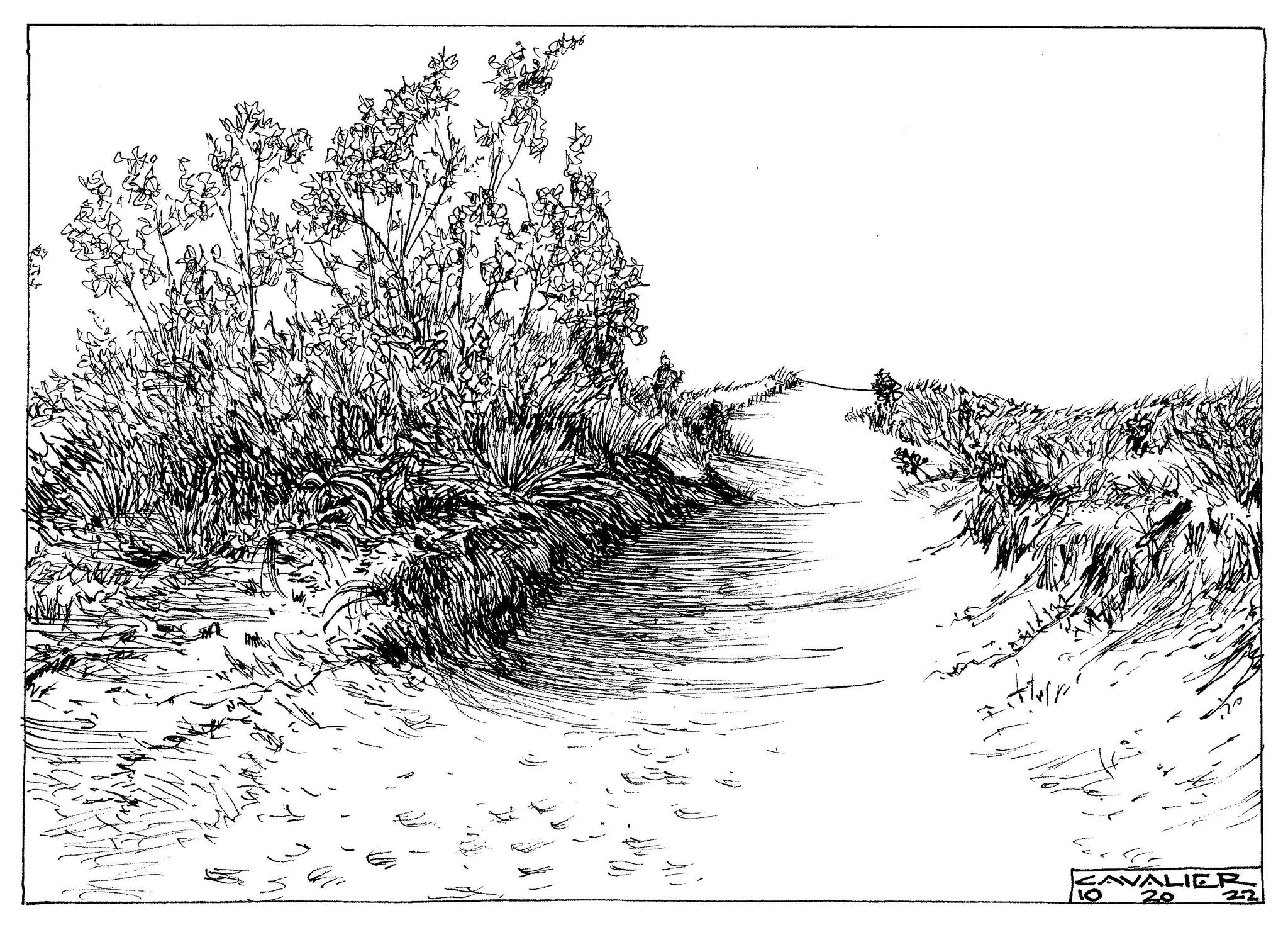ink20