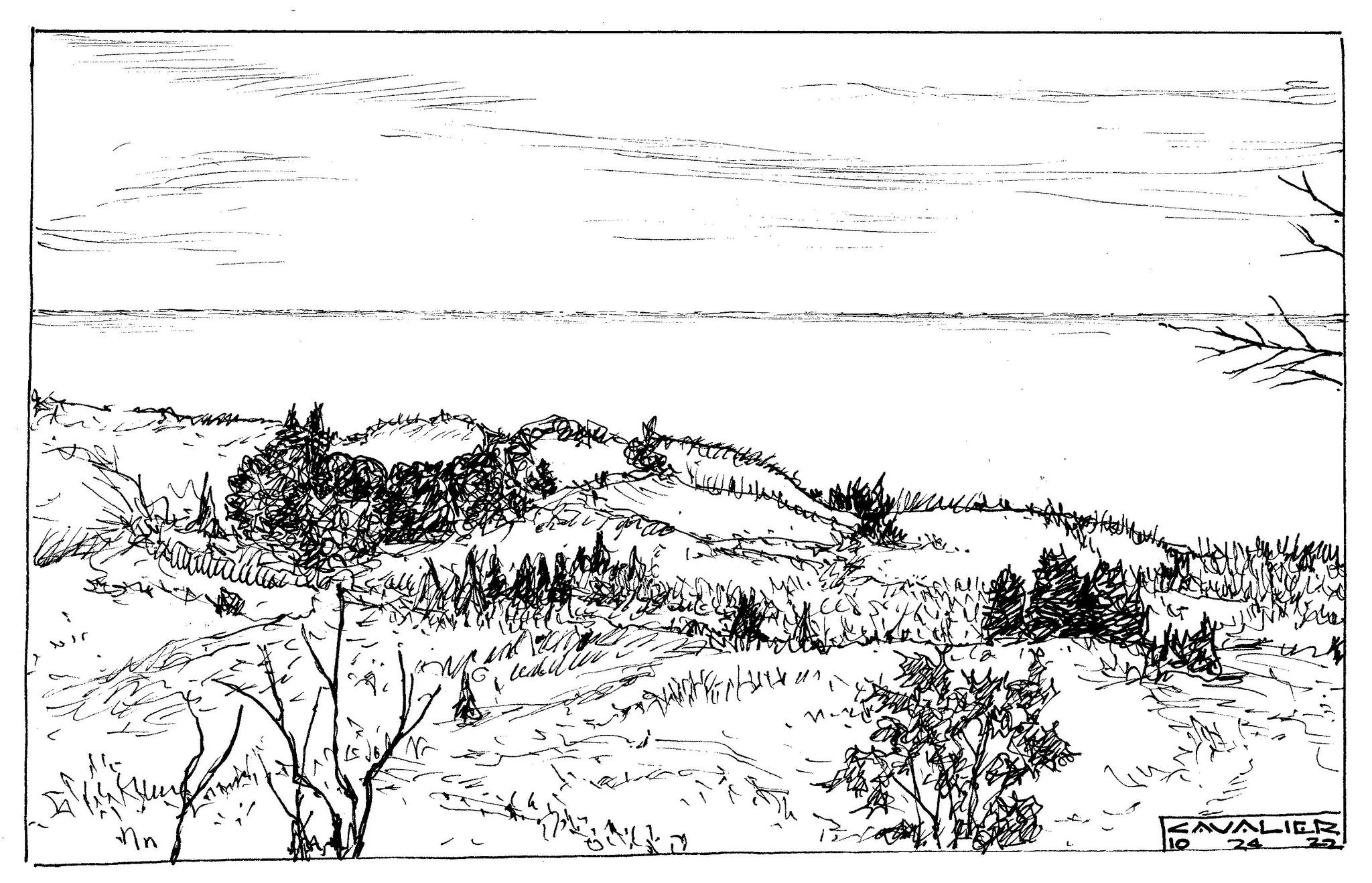 ink24