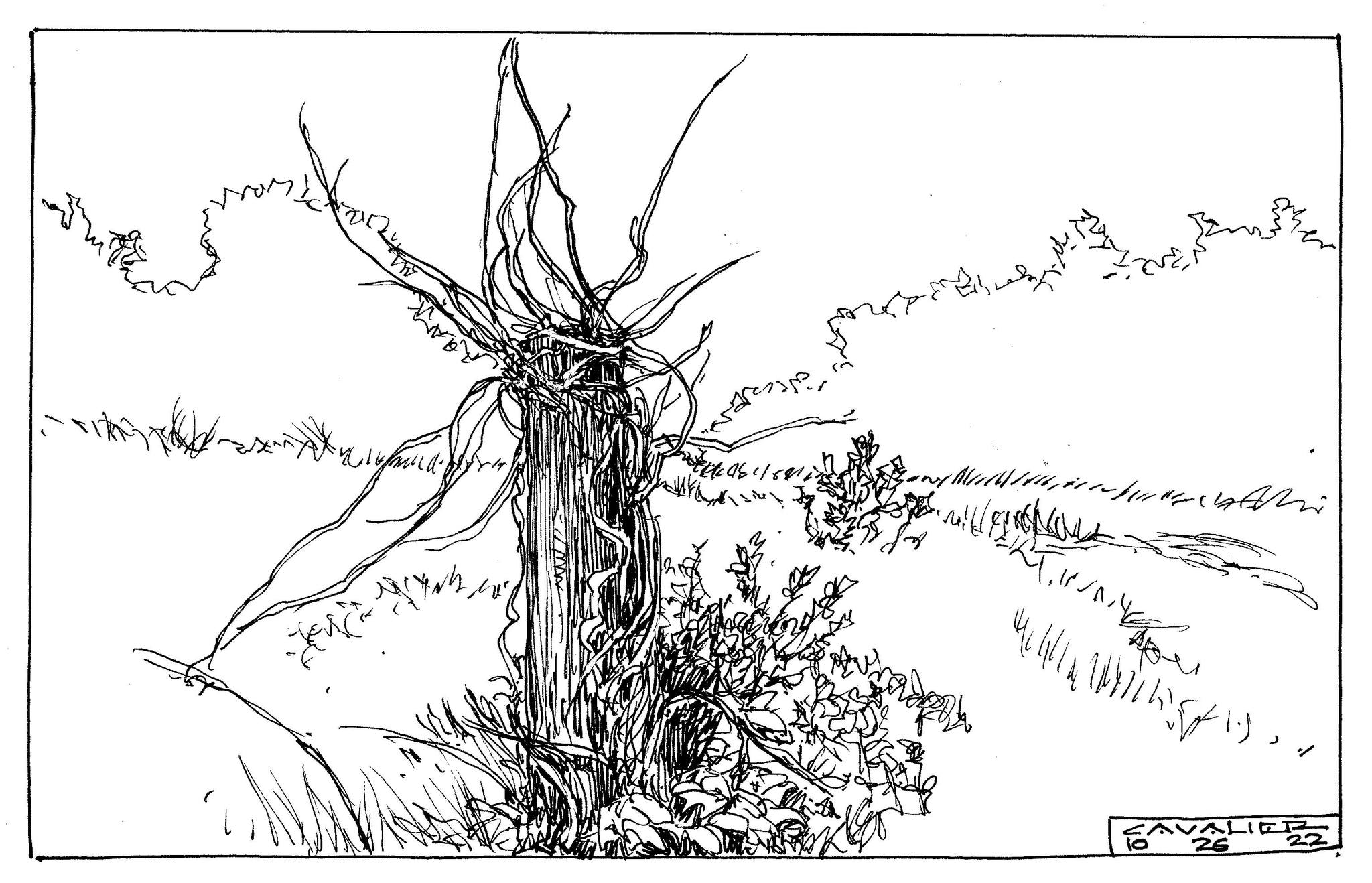 ink26