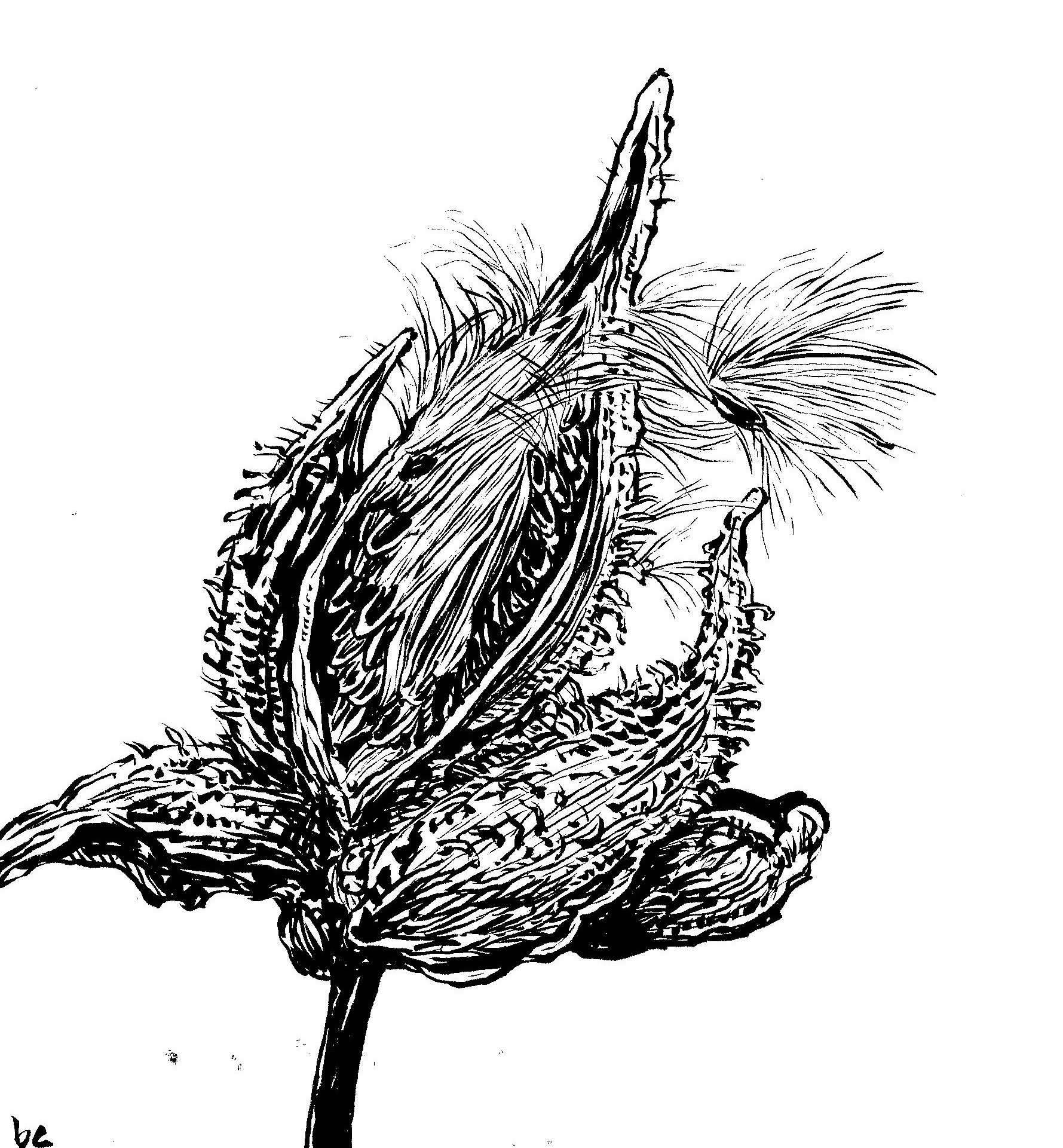 InktoberDay11