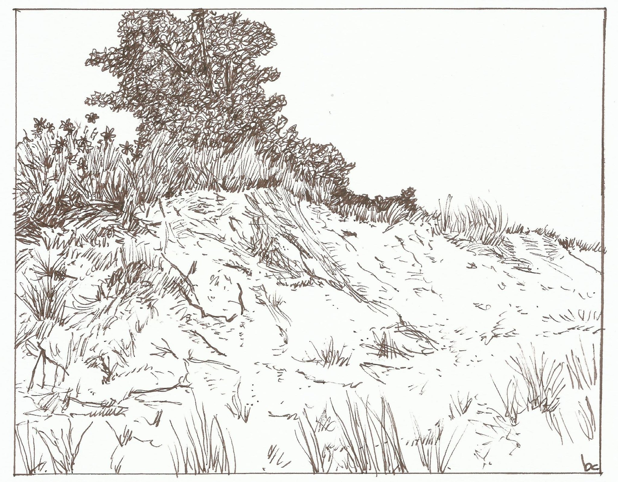 InktoberDay14