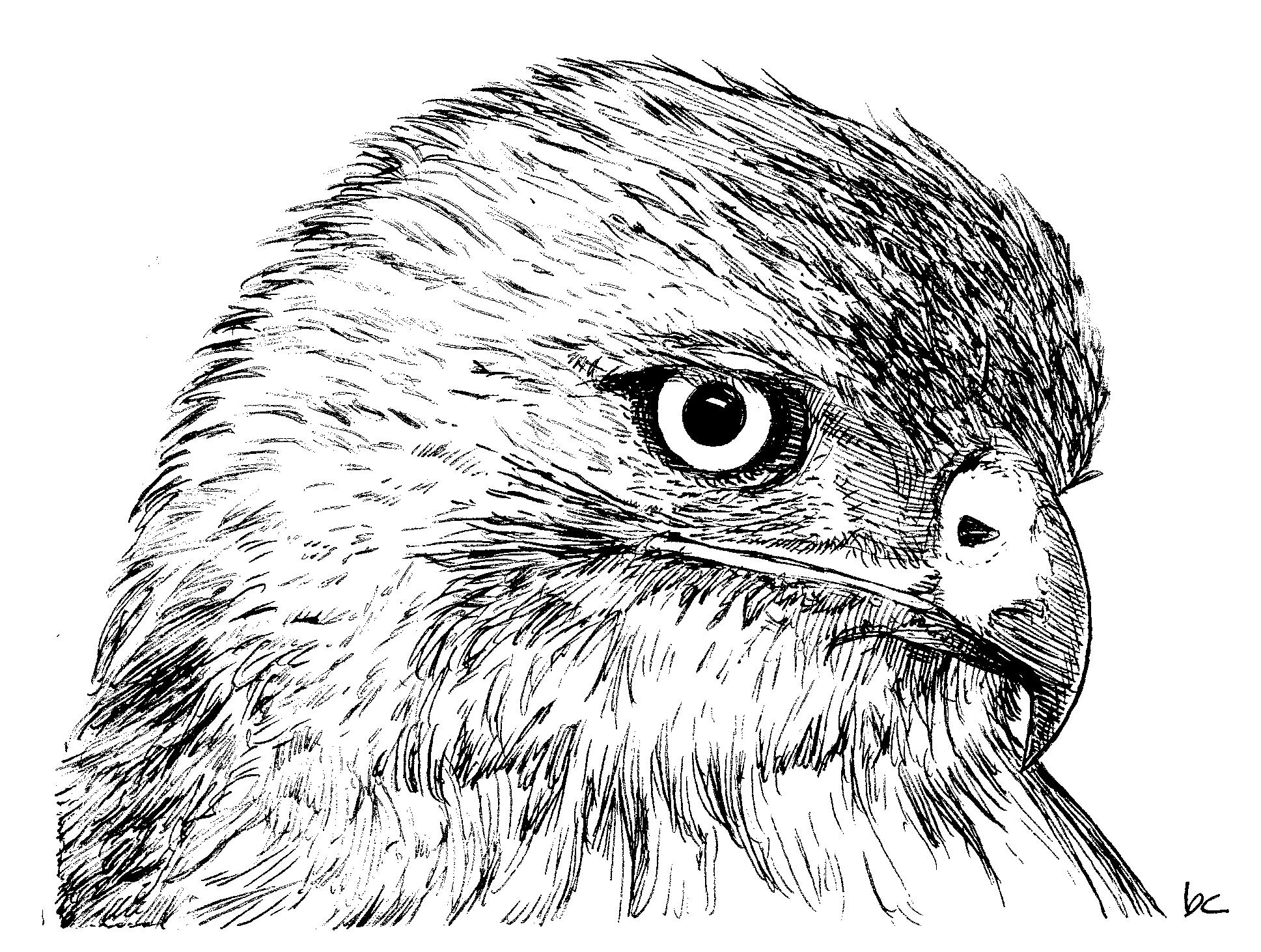 inktober15