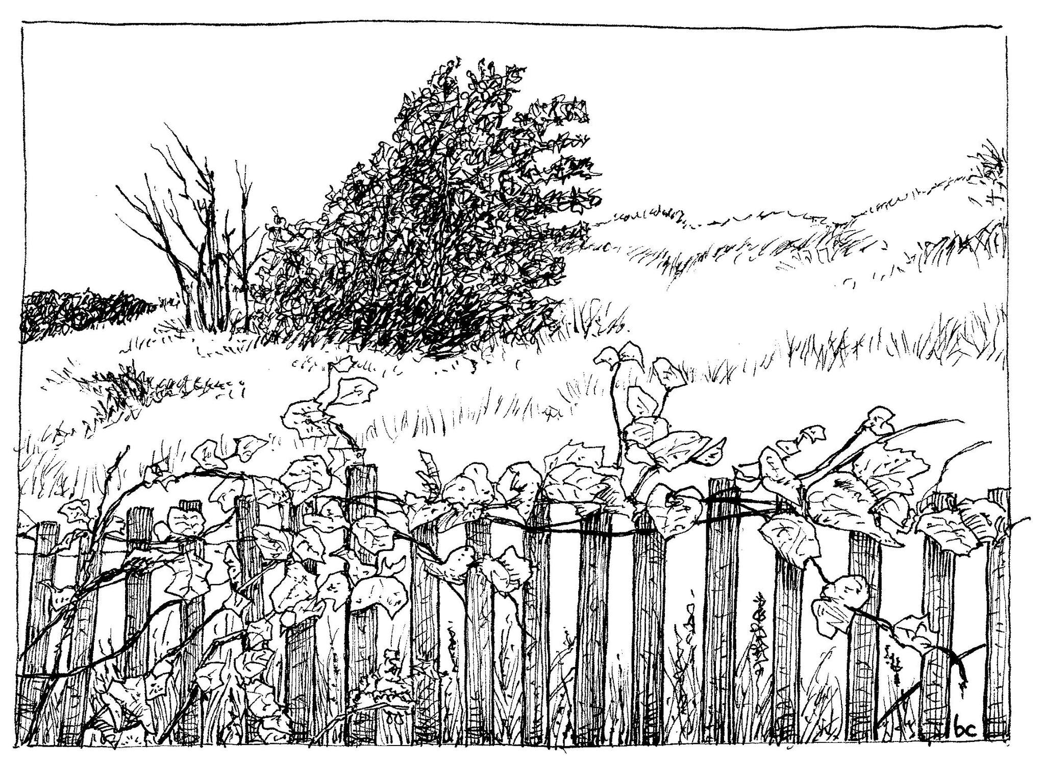 inktober18