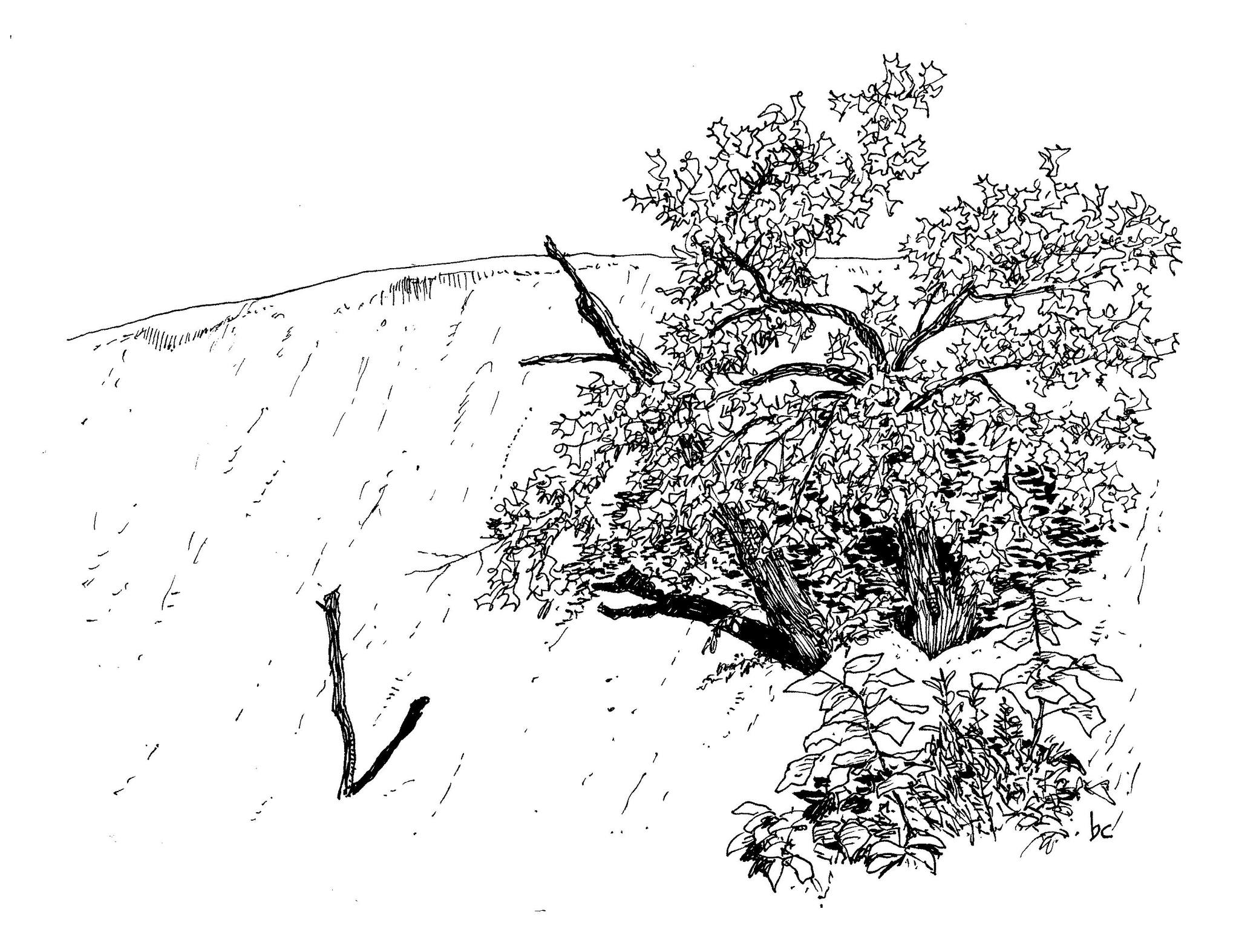 inktober24