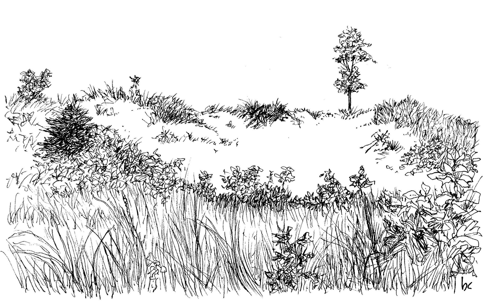 inktober26