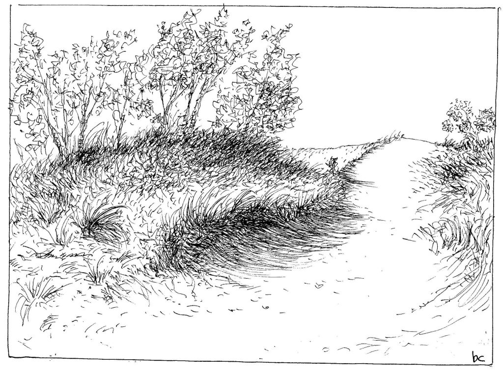 Inktober 24, Day 10