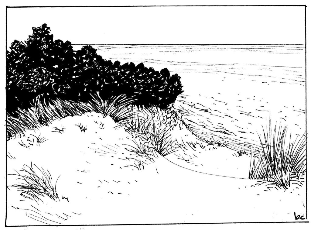 Inktober 24, Day 16