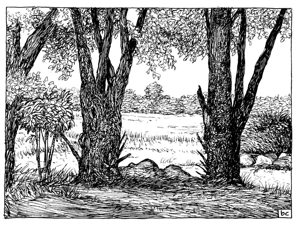 Inktober 24, Day 2
