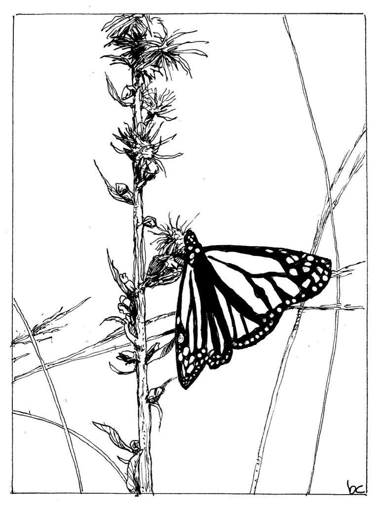 INKtober 2025: Day 1