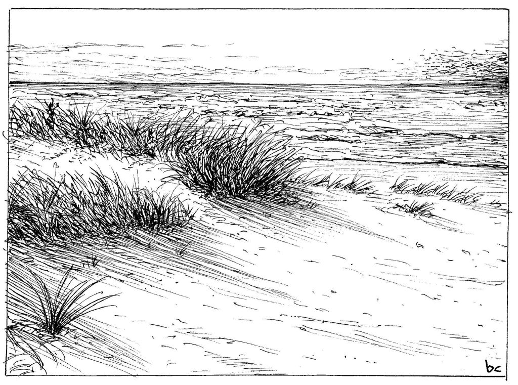 INKtober 2025: Day 4