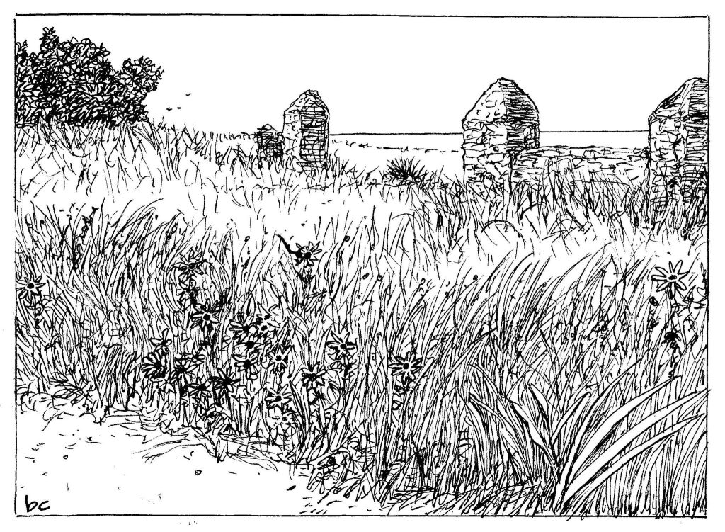 INKtober 2025: Day 5