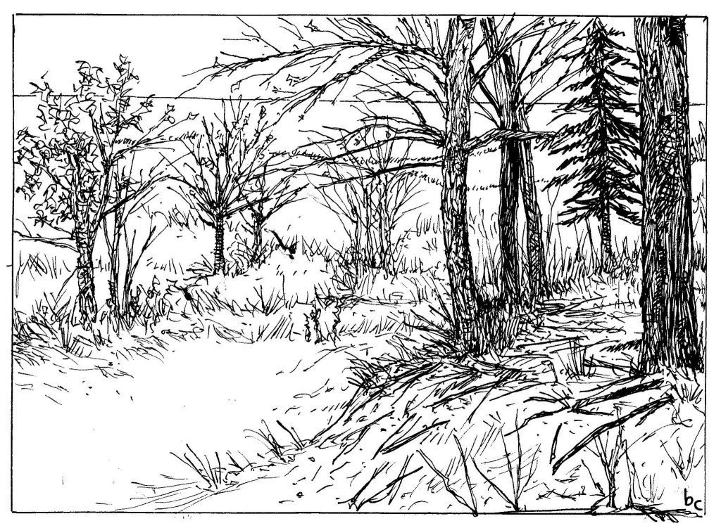 INKtober 2025: Day 7