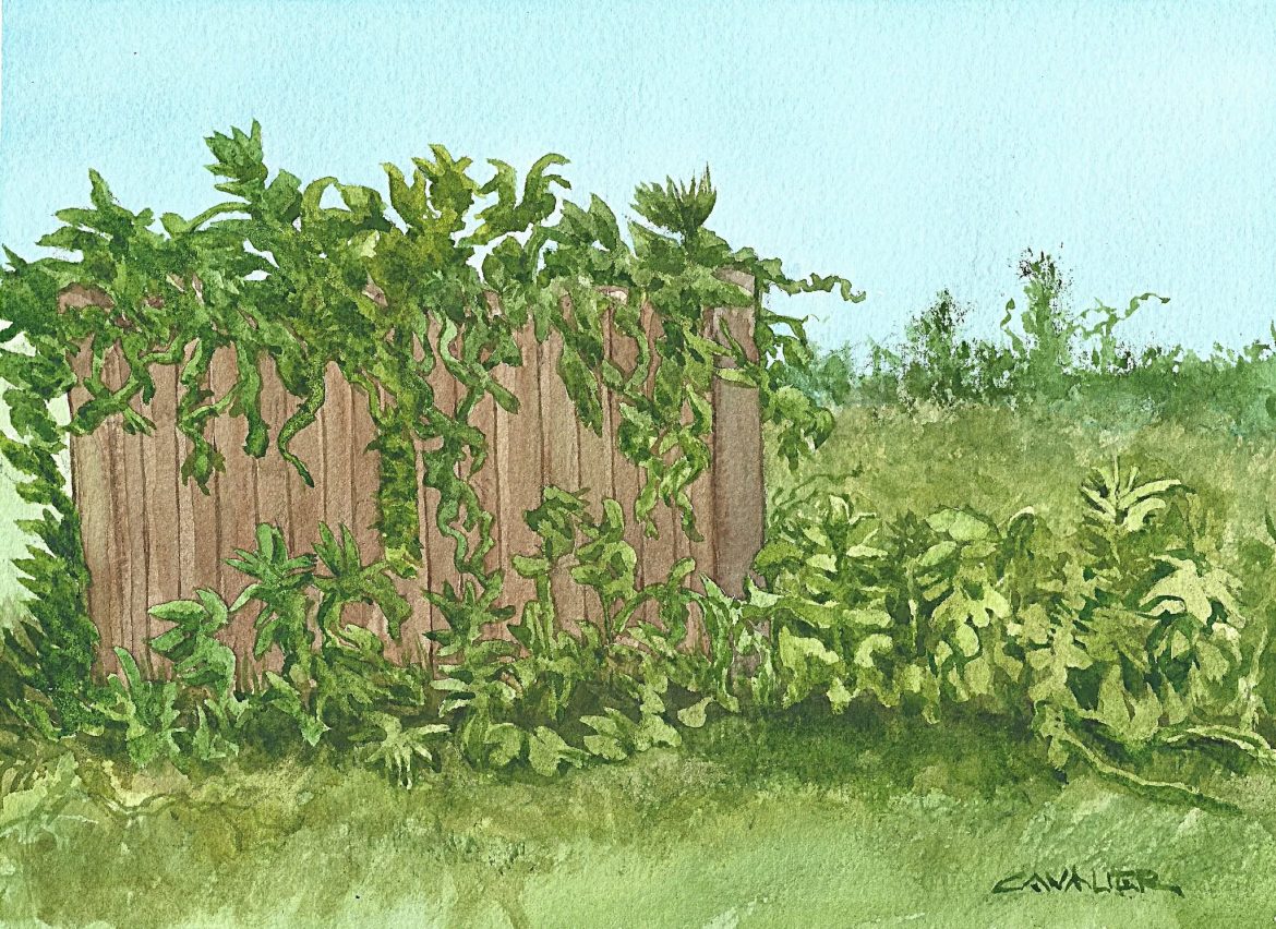 JUL-10